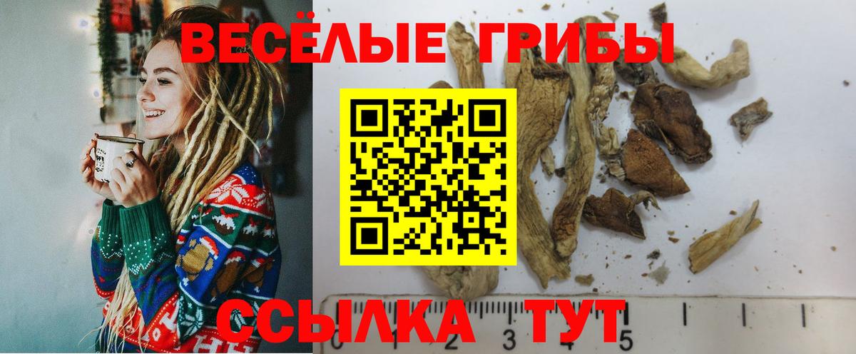 Псилоцибиновые грибы Psilocybine cubensis  Вход с VPN  Галлюциногенные грибы MAGIC MUSHROOMS  Малгобек 