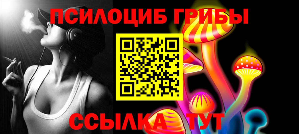 Псилоцибиновые грибы Psilocybine cubensis Малгобек